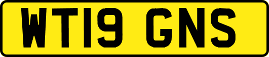 WT19GNS