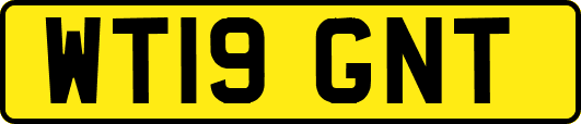 WT19GNT