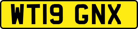 WT19GNX