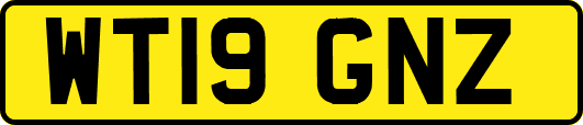 WT19GNZ