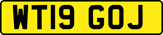 WT19GOJ