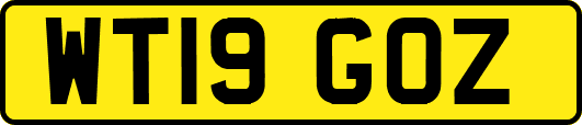 WT19GOZ