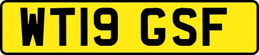 WT19GSF