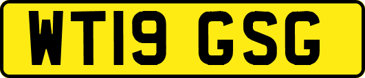 WT19GSG