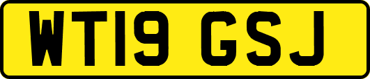WT19GSJ