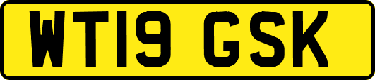 WT19GSK