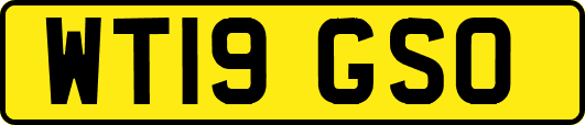 WT19GSO