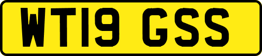 WT19GSS