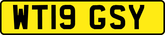 WT19GSY