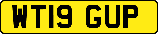 WT19GUP