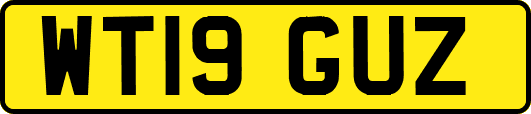 WT19GUZ