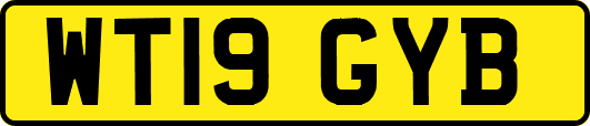 WT19GYB