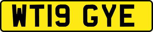 WT19GYE