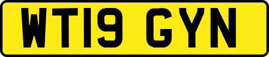 WT19GYN