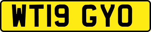 WT19GYO