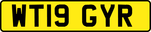 WT19GYR