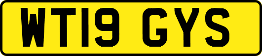 WT19GYS