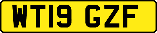 WT19GZF