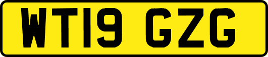 WT19GZG
