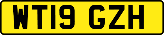 WT19GZH