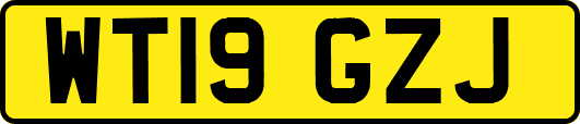 WT19GZJ