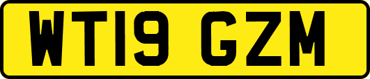 WT19GZM