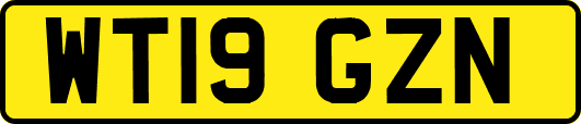 WT19GZN