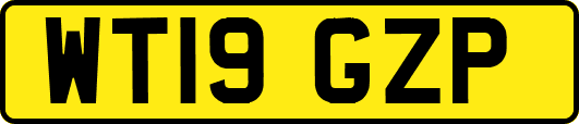 WT19GZP