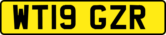 WT19GZR