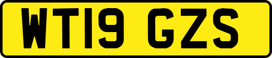 WT19GZS
