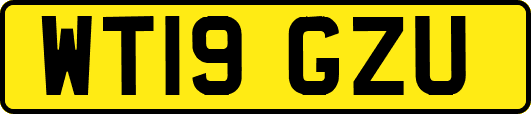 WT19GZU