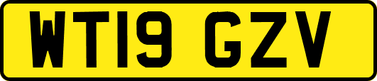 WT19GZV