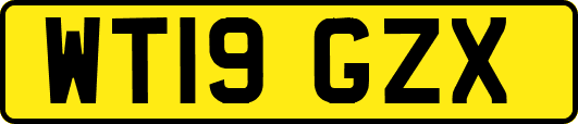 WT19GZX
