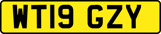 WT19GZY