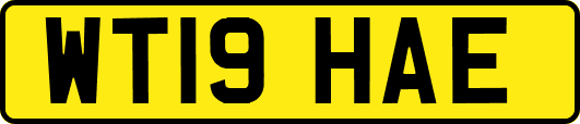 WT19HAE
