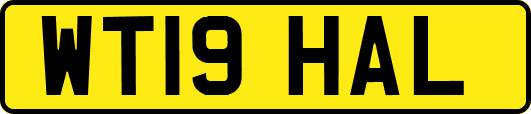 WT19HAL