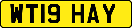 WT19HAY