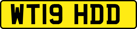 WT19HDD