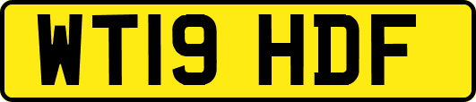 WT19HDF
