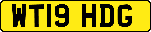 WT19HDG