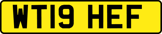 WT19HEF