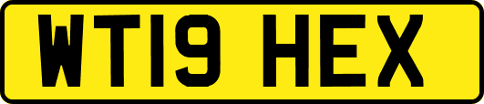 WT19HEX
