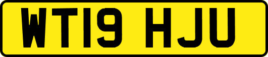 WT19HJU