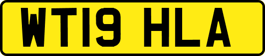 WT19HLA