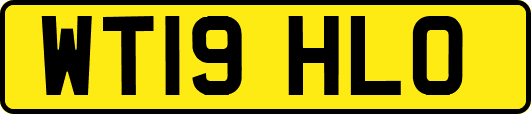 WT19HLO