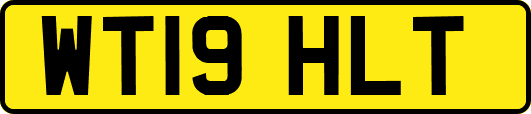 WT19HLT