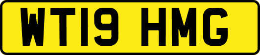 WT19HMG