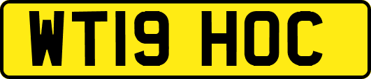 WT19HOC
