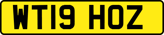 WT19HOZ