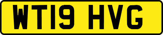 WT19HVG
